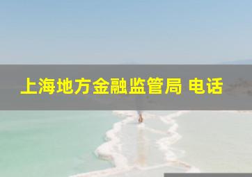 上海地方金融监管局 电话